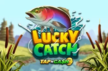 qk999